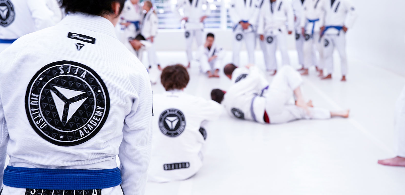 Jiu Jitsu for Beginners in Sydney